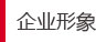 2025新澳原料资料大全